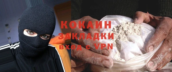 крисы Бородино