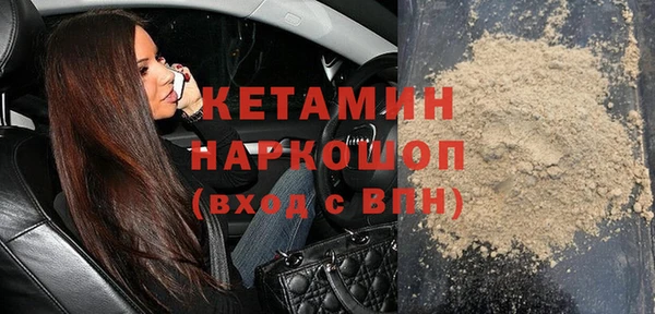 крисы Бородино