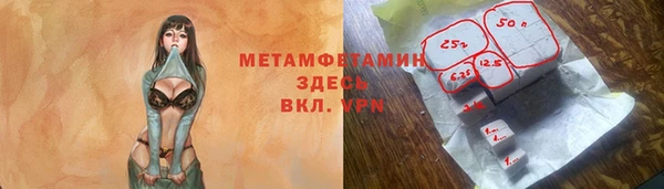 крисы Бородино