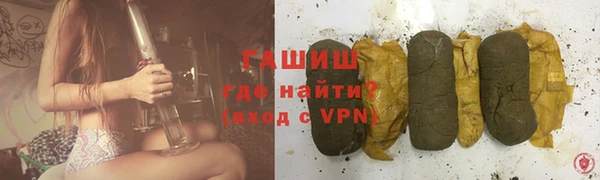 крисы Бородино