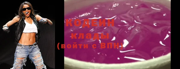крисы Бородино