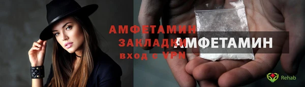 крисы Бородино
