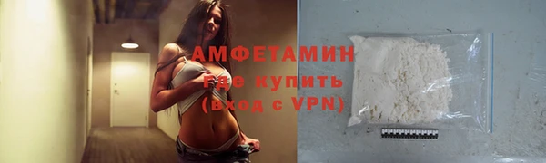 крисы Бородино