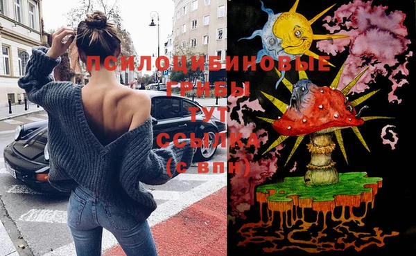 крисы Бородино