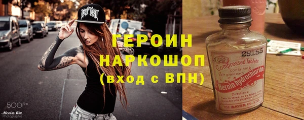 крисы Бородино