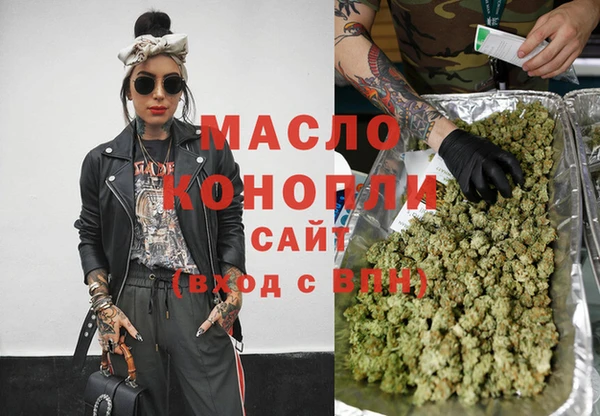 крисы Бородино