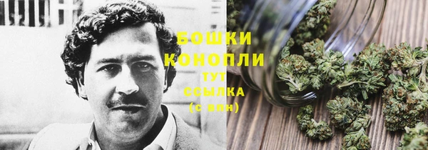 крисы Бородино