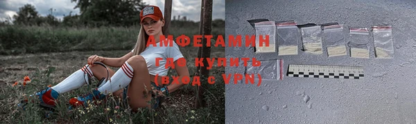 крисы Бородино