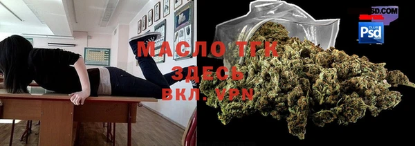 крисы Бородино