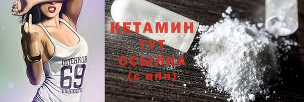 крисы Бородино